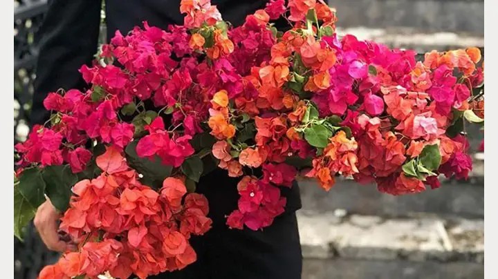 Elegant Elongated Wedding Bouquets by Intrigue Designs Mobile Image