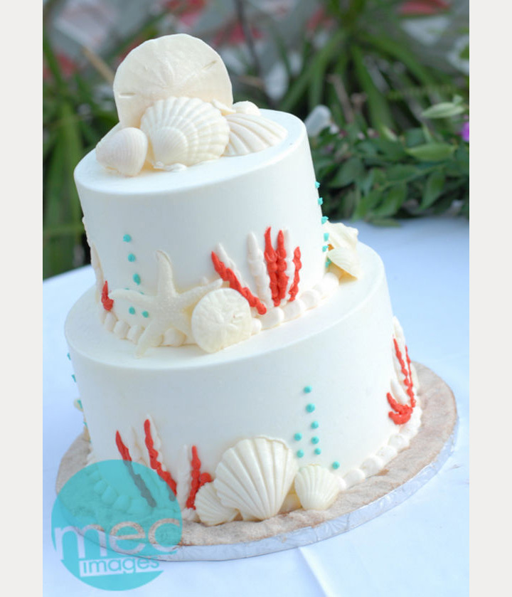 beach wedding cake ~ we ❤ this! moncheribridals.com