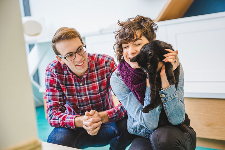Sweet Engagement Session At A Cat Cafe