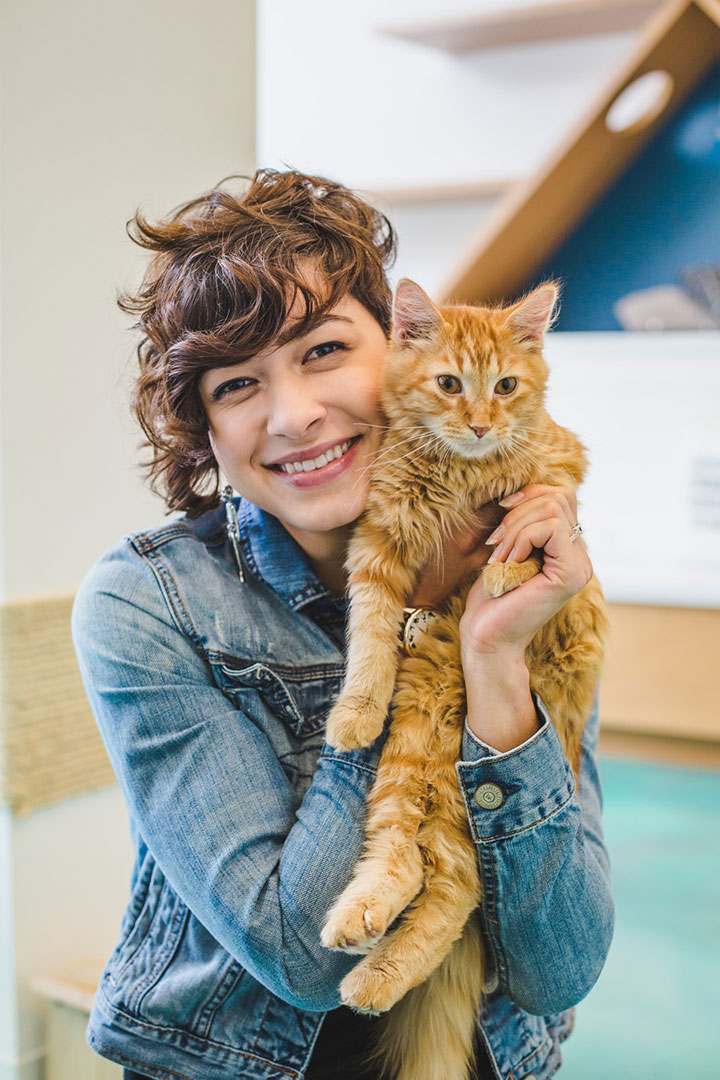 Sweet Engagement Session At A Cat Cafe