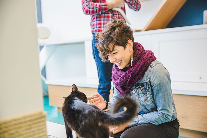 Sweet Engagement Session At A Cat Cafe