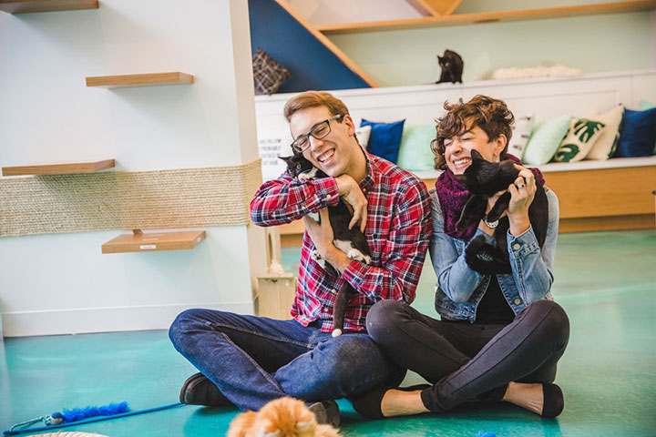 Sweet Engagement Session At A Cat Cafe