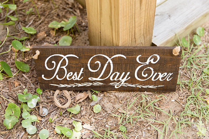 Backyard Beach Wedding In Charleston 