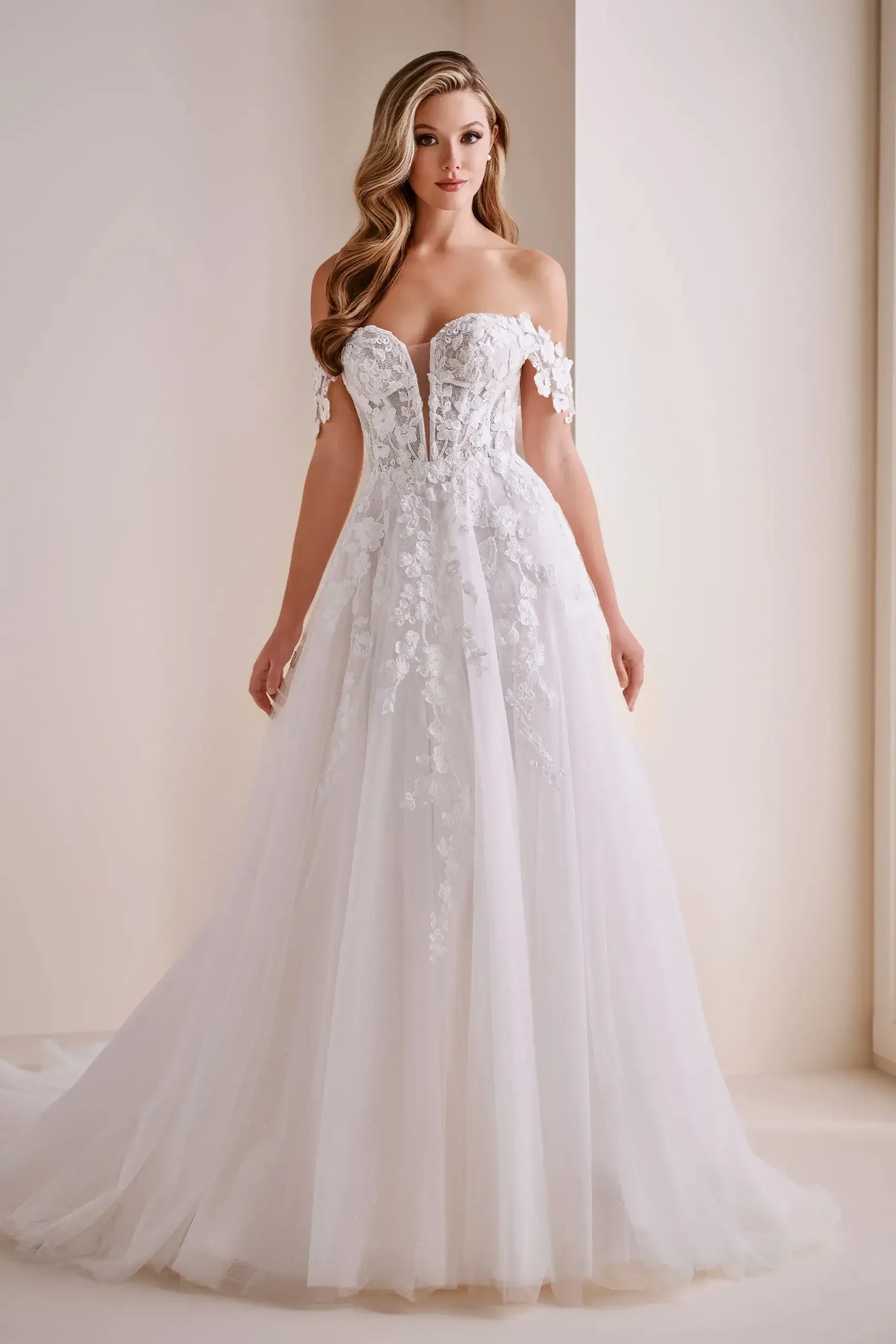Model is wearing an a-line glitter tulle sweetheart neckline wedding dress