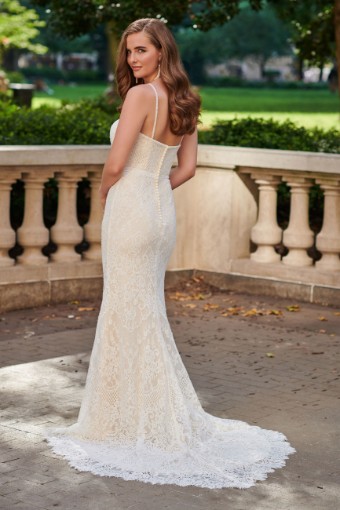 Beautiful Allover Lace and Sequin A-line Gown Style No. 120178 $1 thumbnail